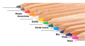 Colored pencils in this order from top to bottom: grey, brown, red, orange, white, yellow, light green, dark green, light blue, dark blue, purple, pink