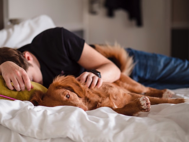 A person sleeping on their bed with a dog