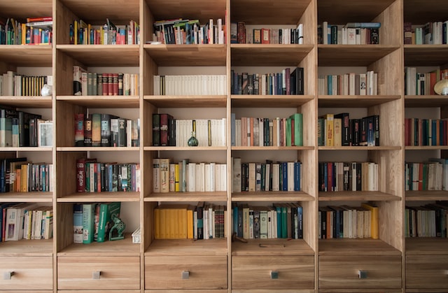 Books on brown wooden shelves