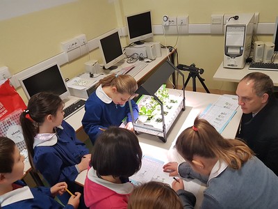 Elementary school students working on a biology project