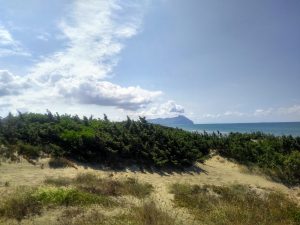 Beach landscape with brush - San Felice Circeo, Lazio region