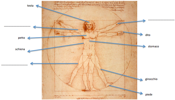 Drawing of a man by Leonardo da Vinci with arrows pointing from different body parts to terms, either filled in or blank. From top to bottom: head, testa; hand, blank; arm, blank; finger, dito; chest, petto; stomach, stomaco; back, schiena; leg, blank; knee, ginocchio; foot, piede.