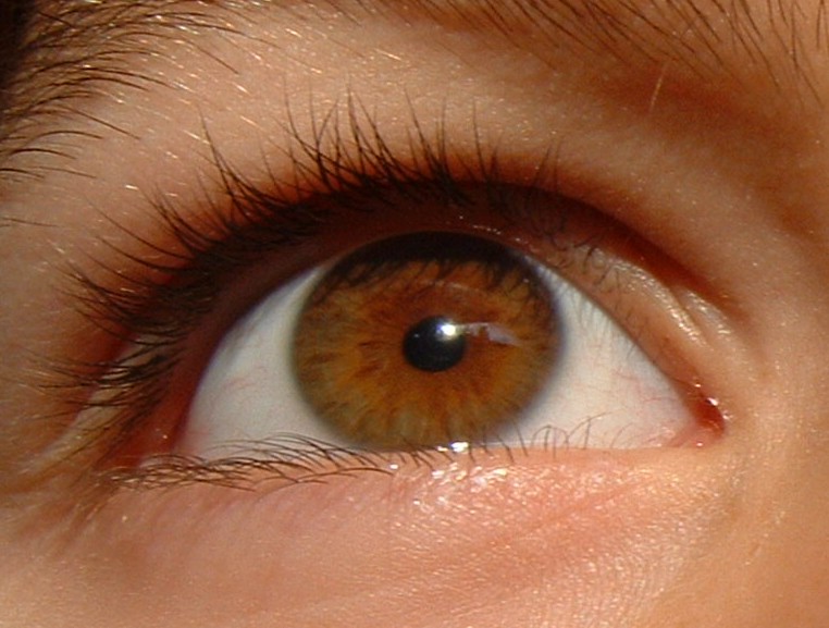 Hazel human eye