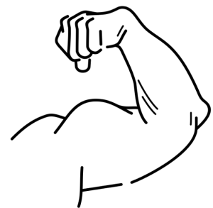 Illustration of a flexed bicep