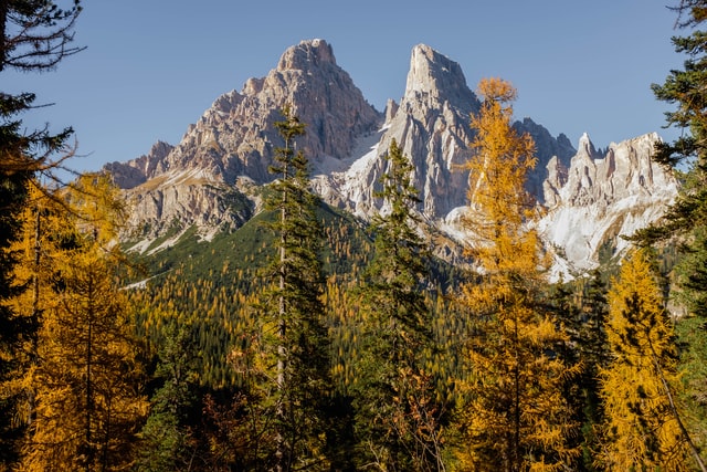 Two snowy mountains behind some green and yellow trees.