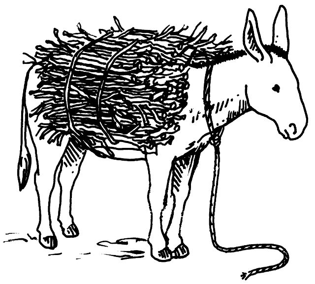 Line drawing of a donkey carrying sticks on its back.