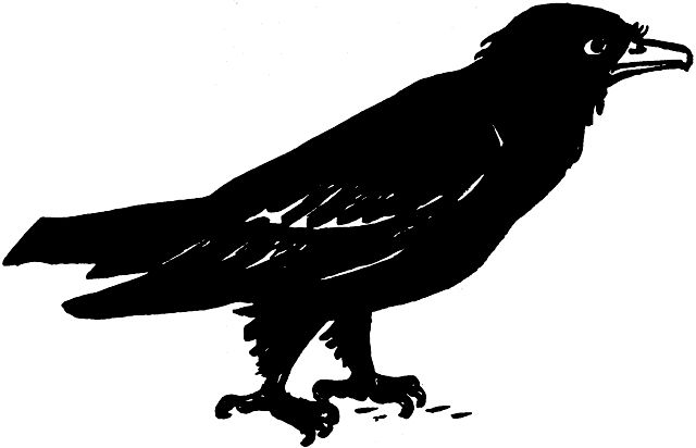 Line drawing of a crow.