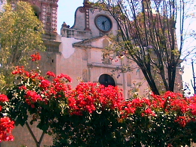 Photograph of a church facade, including a clock, in front of which are trees and bushes with red flowers