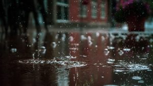 Close-up of rain droplets hitting a street